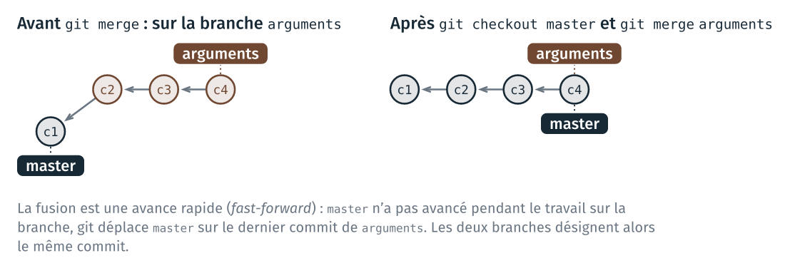 La branche arguments, avant et après la fusion