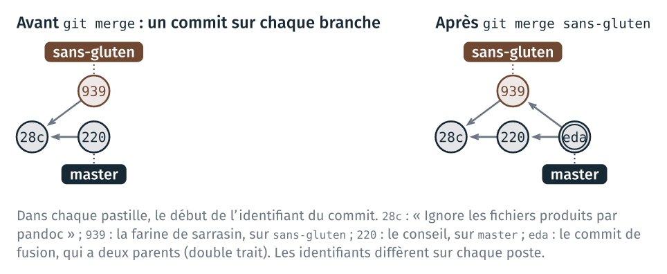 Le graphe avant et après la fusion